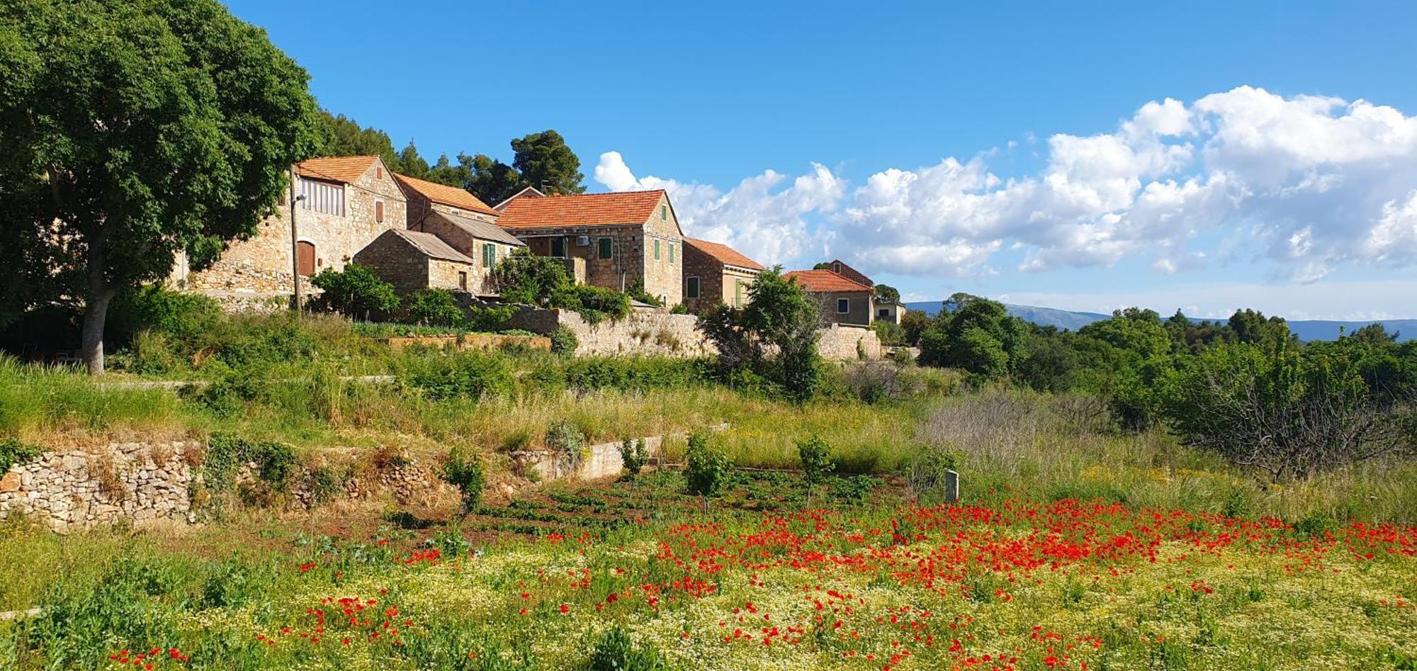 Ferienhaus Hvar Stone Villa With Pool Vrbanj